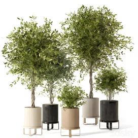 Indoor plants in ferm living bau pot large